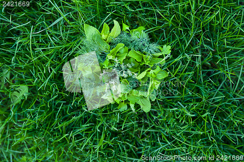 Image of food greens