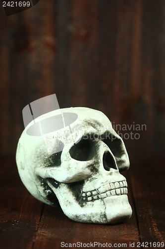 Image of Skull on Wood Grunge Rustick Background