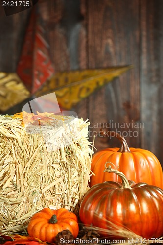 Image of Fall Themed Scene With Pumpkins on Wood 