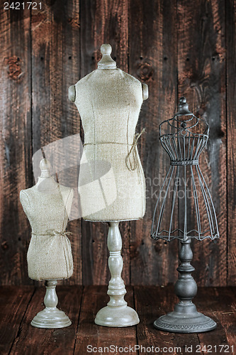 Image of Antique Mannequin Busts on Wood Grunge Background