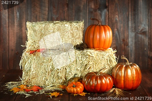 Image of Fall Themed Scene With Pumpkins on Wood 