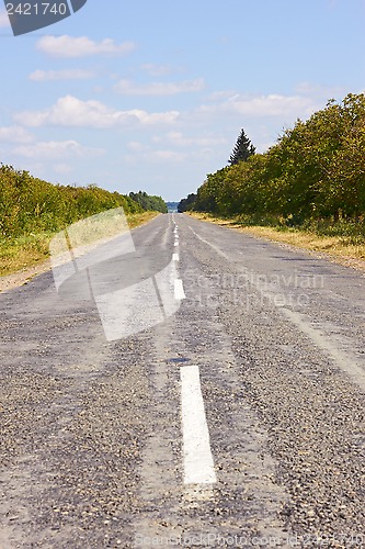 Image of Rural asphalted road