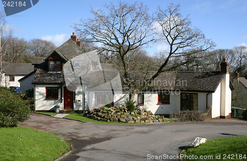 Image of bungalow and tree