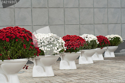 Image of Flowerpot bowl of flowers 