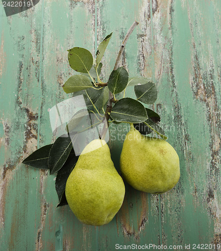 Image of Yellow Pears