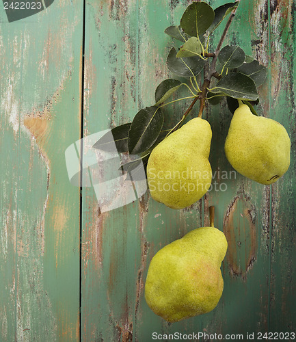 Image of Yellow Pears