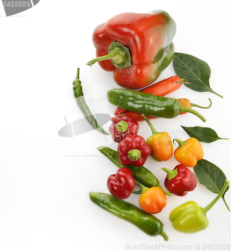 Image of Raw Peppers Assortment