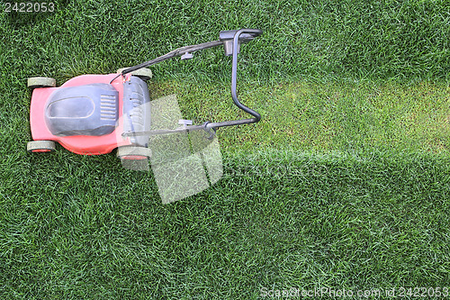 Image of Grass cutter at the lawn