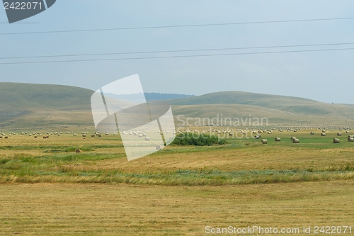 Image of summer landscape