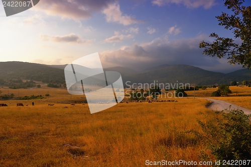 Image of summer landscape