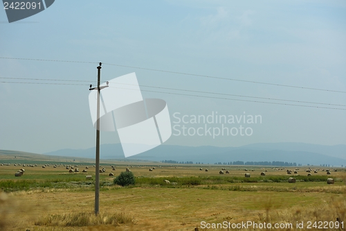 Image of summer landscape