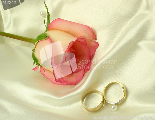 Image of rings satin and a rose