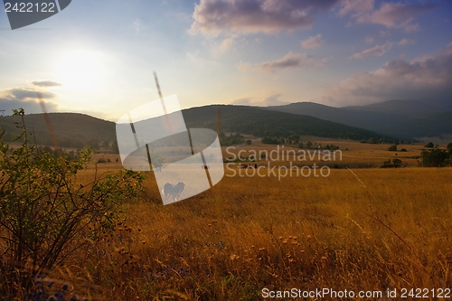 Image of summer landscape