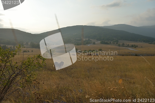 Image of summer landscape