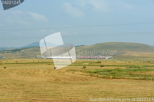 Image of summer landscape