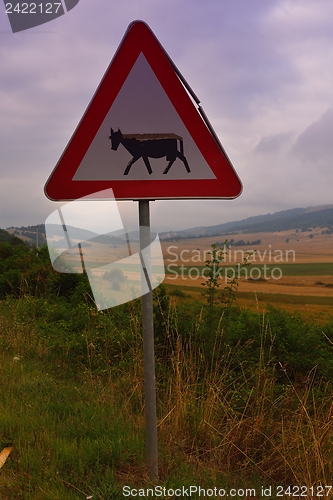 Image of road through the green field