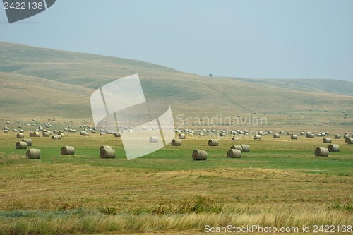 Image of summer landscape