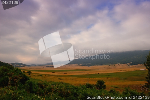 Image of summer landscape