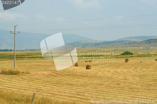 Image of summer landscape