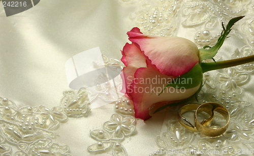 Image of roses and rings on a bridal gown