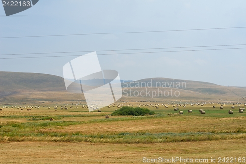 Image of summer landscape