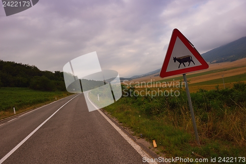 Image of road through the green field