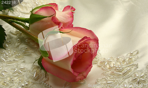 Image of beaded satin and a roses