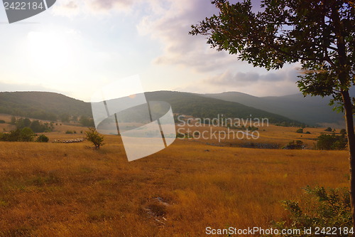 Image of summer landscape