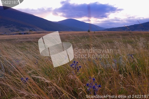 Image of summer landscape