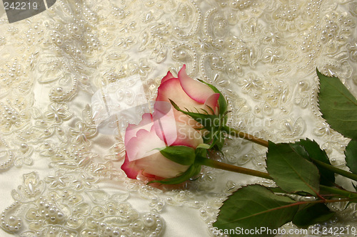 Image of beaded satin and a roses