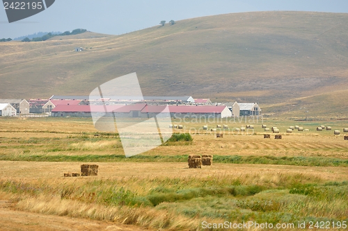 Image of summer landscape