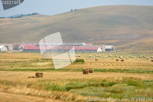 Image of summer landscape