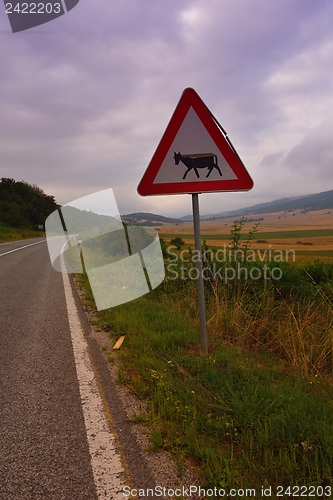 Image of road through the green field