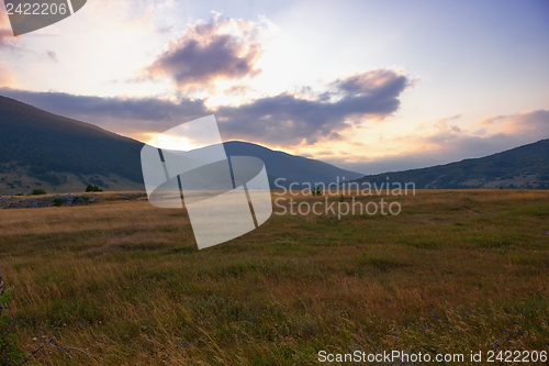 Image of summer landscape