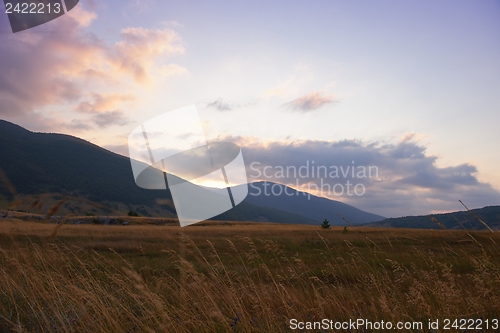 Image of summer landscape