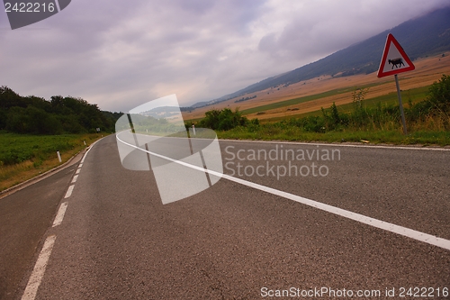 Image of road through the green field