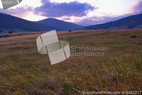 Image of summer landscape