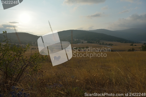 Image of summer landscape