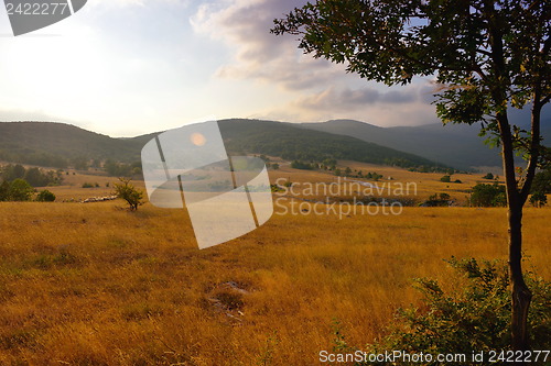 Image of summer landscape