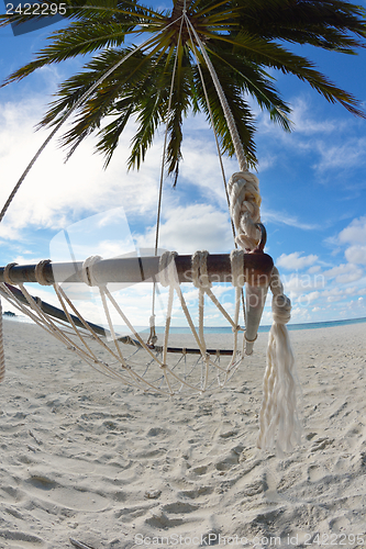 Image of tropical beach