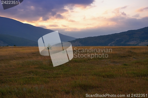 Image of summer landscape