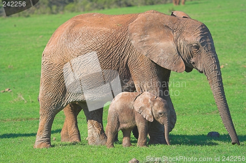 Image of mother and baby