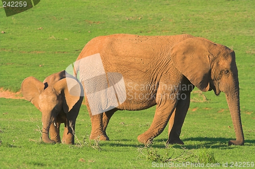 Image of mother and baby