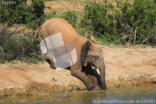 Image of Thirsty