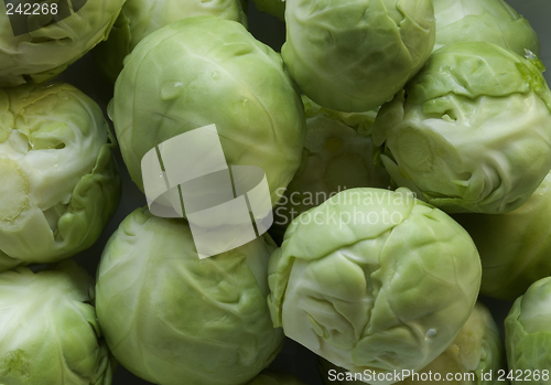 Image of Brussels sprouts