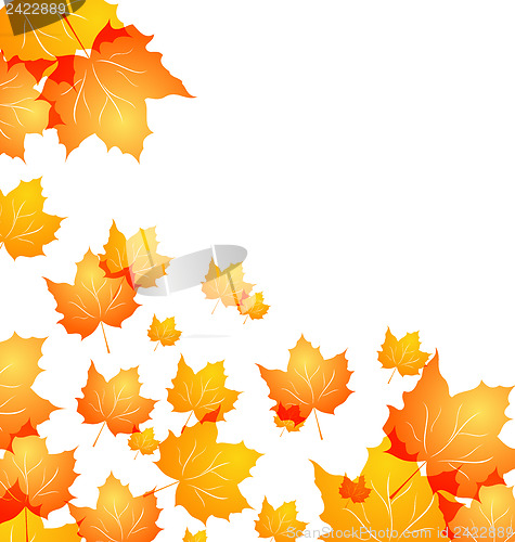 Image of Autumn background with flying maples