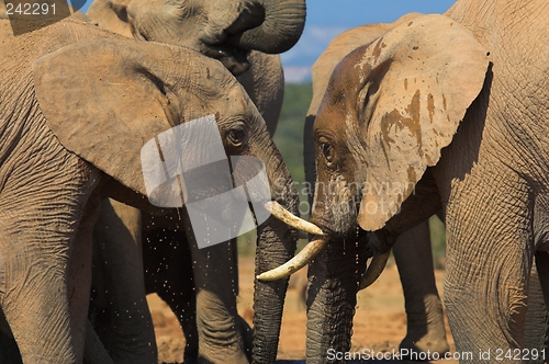 Image of cooling off