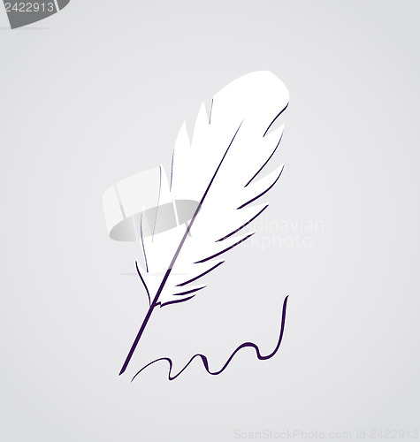 Image of White feather calligraphic pen isolated