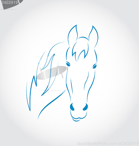 Image of Hand drawn head horse isolated on white background