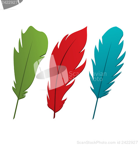 Image of Set colorful feathers isolated on white background